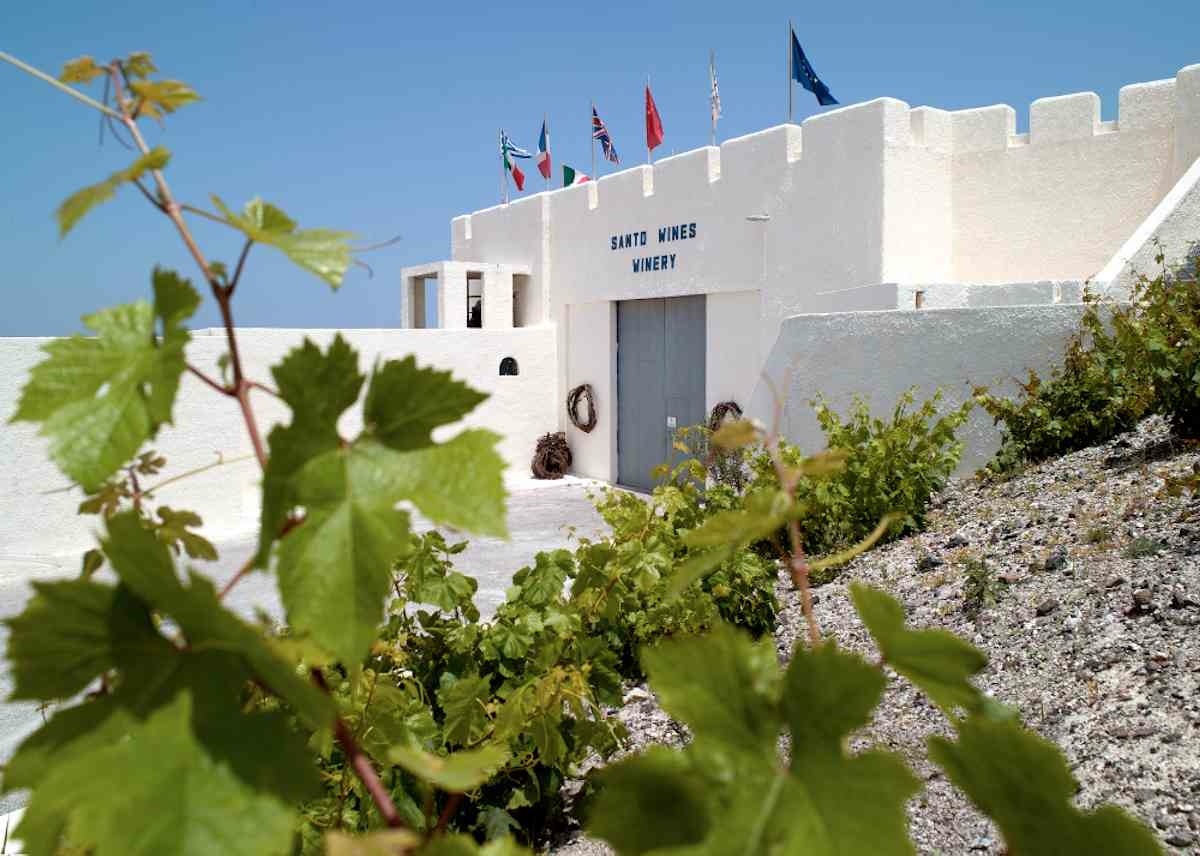 Santo Winery