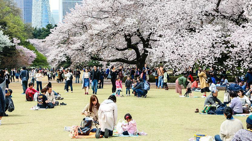 Shinjuku Gyoen