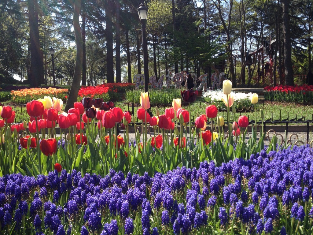 Keindahan Emirgan Park